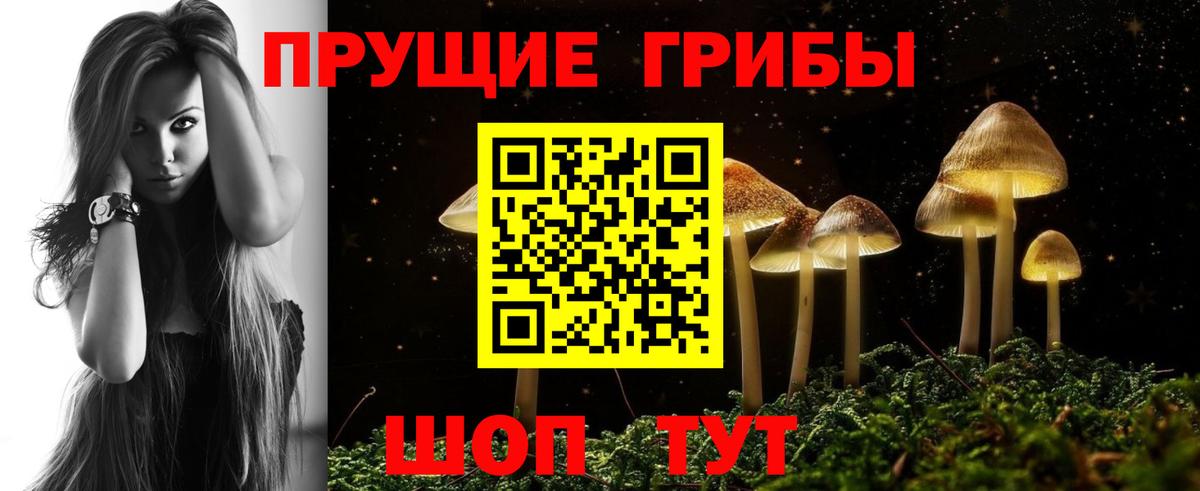 Псилоцибиновые грибы Psilocybe  Вход с VPN  Жуковский 